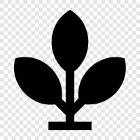 plants, garden, gardening, landscaping icon svg