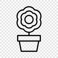 plants, gardening, gardening tips, rose icon svg