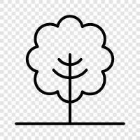 plants, growth, leaves, flowers icon svg