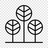 plants, leaves, trunk, branches icon svg