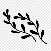 plants, greenery, foliage, flowers icon svg