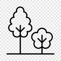 plants, flowers, trees, nature icon svg