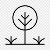 Pflanzen, Blumen, Gartenarbeit, Landschaftsgestaltung symbol