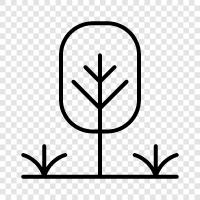 plants, flowers, gardening, landscaping icon svg