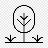 plants, flowers, gardening, landscaping icon svg