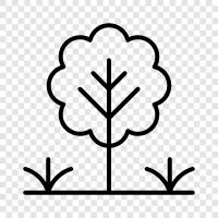 plants, flowers, gardening, landscaping icon svg