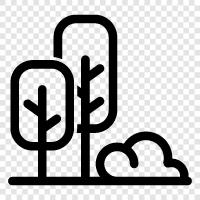 playground, park, nature park, tree park icon svg