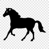 pony, carriage, saddle, horsemanship icon svg