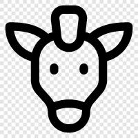 Pferd, Pferde symbol