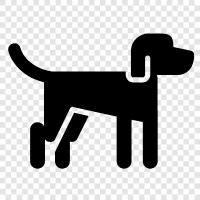 Pooch, Cocker Spaniel, Beagle, Labrador Retriever icon svg