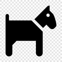 pooch, mutt, dog, pup icon svg