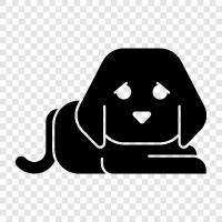 Pooch, Cocker spaniel, Beagle, Boston terrier icon svg