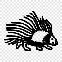 Porcupine icon svg