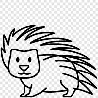 porcupine carapace, porcupine quills, porcup, Porcupine icon svg