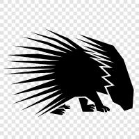 Porcupine, animals, wildlife, quills icon svg