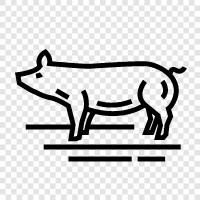 pork, bacon, ham, sausage icon svg