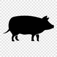 pork, bacon, ham, sausage icon svg