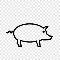 Schweinefleisch, Speck, Schinken, Wurst symbol