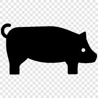 Porker, Swine, Ham, Bacon icon svg