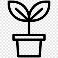 pot, planter, container, grow icon svg