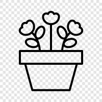 pot, gardening, plants, plants in a pot icon svg