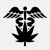 pot doctor, medical marijuana, weed doctors, medical marijuana doctors icon svg