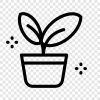 pot, planter, garden, house icon svg