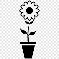 pot, flower, gardening, plants icon svg