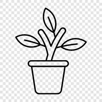 pot, planter, flower pot, garden pot icon svg