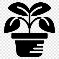 saksı, bahçe saksı, bitki, konteyner ikon svg
