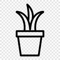 pot, plant, gardening, grow icon svg