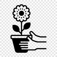 Pot, Container, Planter, Grower icon svg