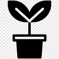 pots, planters, gardening, planting icon svg