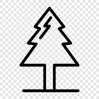 Pre Lit Christmas Tree, Artificial Christmas Tree, Christmas tree icon svg