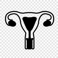 schwanger, schwangere Frauen, Geburt, Babys symbol