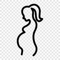 pregnant, pregnant woman s body, pregnant woman s health, pregnant woman s icon svg