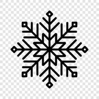 schön, delikat, einzigartig, Schneeflocke symbol