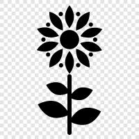 schön, bouquet, blumig, flora symbol