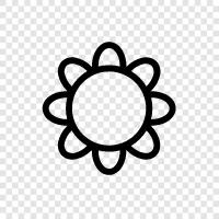 pretty, pretty flower, colorful, pretty flowers icon svg