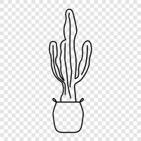 prickly, desert, habitat, spines icon svg