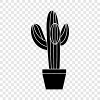 spitz, heiß, Wüste, Saguaro Kaktus symbol