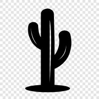 prickly, spiny, thorny, Cactus icon svg