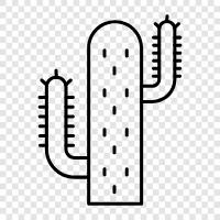 prickly pear, cholla, saguaro, barrel cactus icon svg