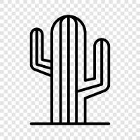 Stachelbirne, Cholla, Fasskaktus, Saguaro c symbol