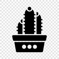 prickly pear, desert, spiny Cactus, prickly icon svg