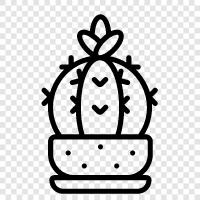 prickly pear, desert plants, succulent plants, Cactus icon svg