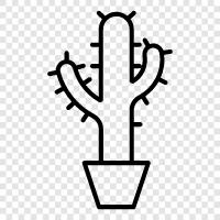 prickly pear, cholla, spiny cactus, hedgehog c icon svg