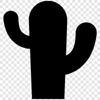 prickly pear, desert, spines, Cactus icon svg
