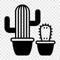 prickly pear, desert, spiny, flowers icon svg