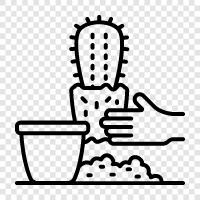 prickly plant, desert, spiny plant, Cactus icon svg